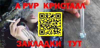 гидра Кингисепп