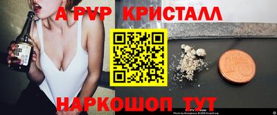 гидра Кингисепп